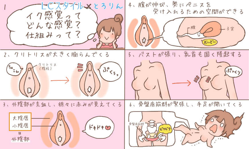 تويتر とろりん على تويتر イク感覚が知りたい イクのは何で 女性が気持ち良くなってイクまでの流れって気になりません クリトリスも男性器と同じ様に硬くなってコリコリになるし お腹の中でも膣が伸びる等の変化が起きているんですよ これを知ってい
