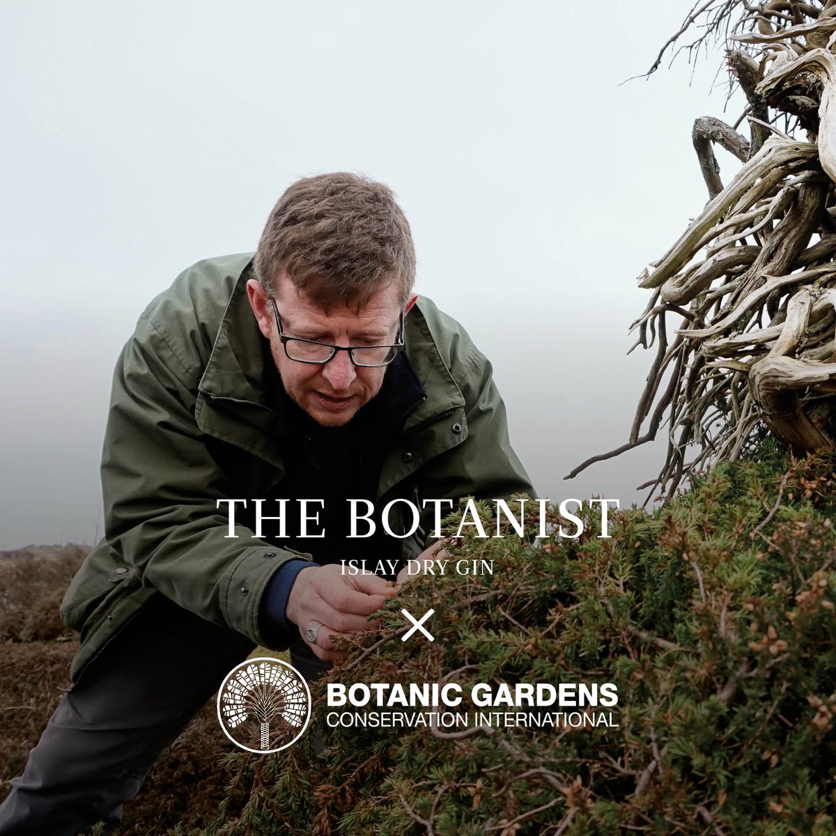 We are delighted to announce that we’ve partnered with the Botanic Gardens Conservation International (<a href="/bgci/">Botanic Gardens Conservation International</a>)! We’ve kicked off the partnership by backing the first Global Botanic Garden Fund 🌿 Keep an eye on our channels this week to learn more!