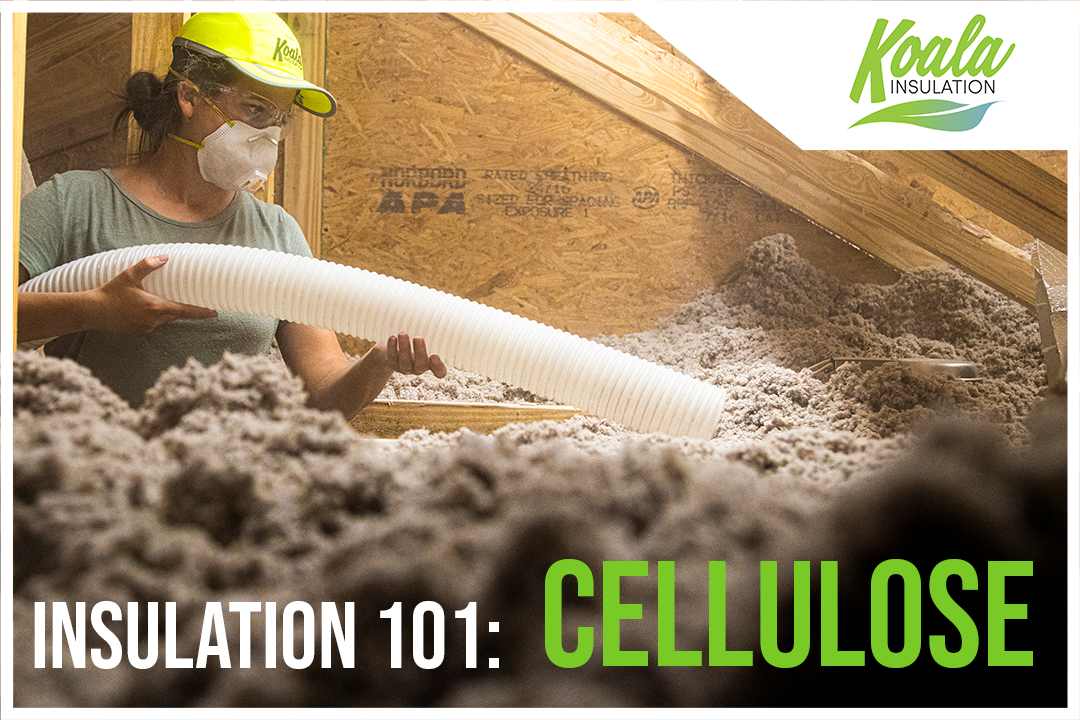 Koala Insulation HQ tweet media