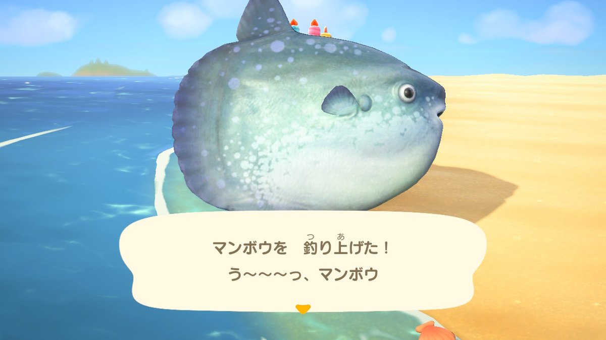 chokth's tweet photo. #どうぶつの森 #AnimalCrossing #ACNH #NintendoSwitch https://t.co/KeYZ68IQoI