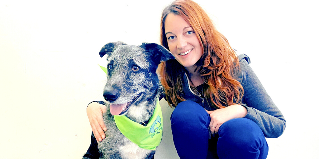 LoveDogs_fr's tweet photo. 💬 TÉMOIGNAGE ❝ Auprès des enfants, Nolo est patient et s’adapte aux différentes situations ce qui leur permet de progresser à leur rythme. ❞ Nous avons demandé à Virginie Cullel, éducatrice spécialisée au SESSAD Esperanza de nous dire ce qu'elle pensait de #LoveDogs et Nolo. https://t.co/D1tiGYd24r