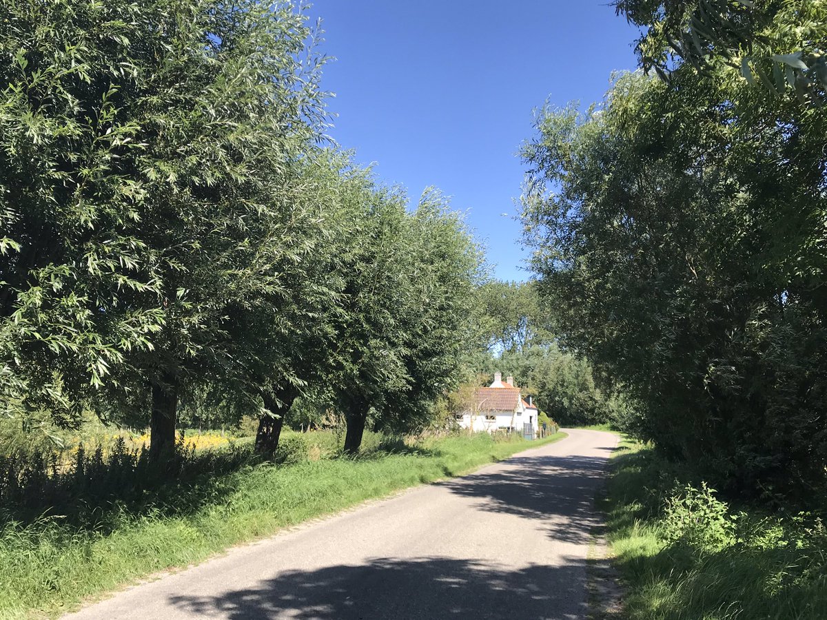 hon_joke's tweet photo. #Marolleput bij Nieuwvliet en de markt in #Groede #fietsen gisteren! https://t.co/O1kcS49s4i
