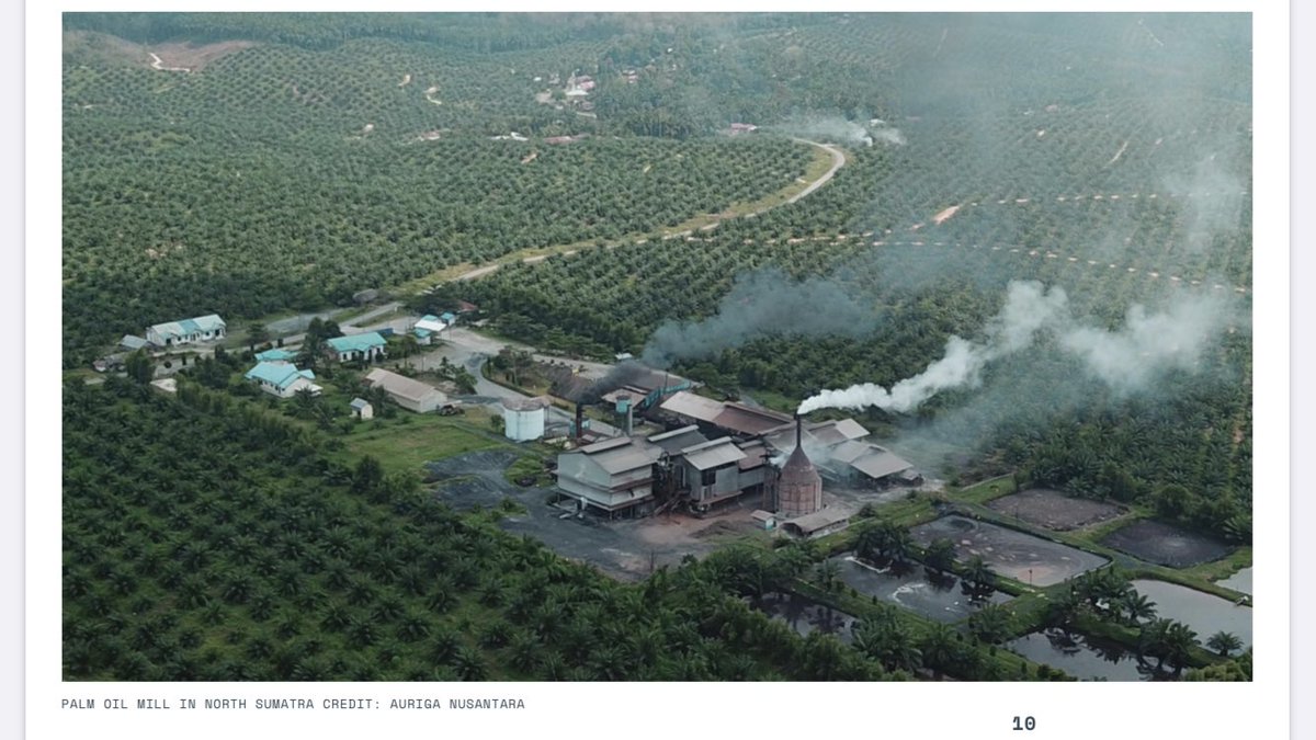 10. More than 80% of palm oil exports from Indonesia in 2018 were covered by some levelof zero-deforestation commitment made by the trading company. However, since traders source from hundreds of smaller companies, it creates a traceability challenge.  http://resources.trase.earth/documents/Trase_Yearbook_Executive_Summary_2_July_2020.pdf