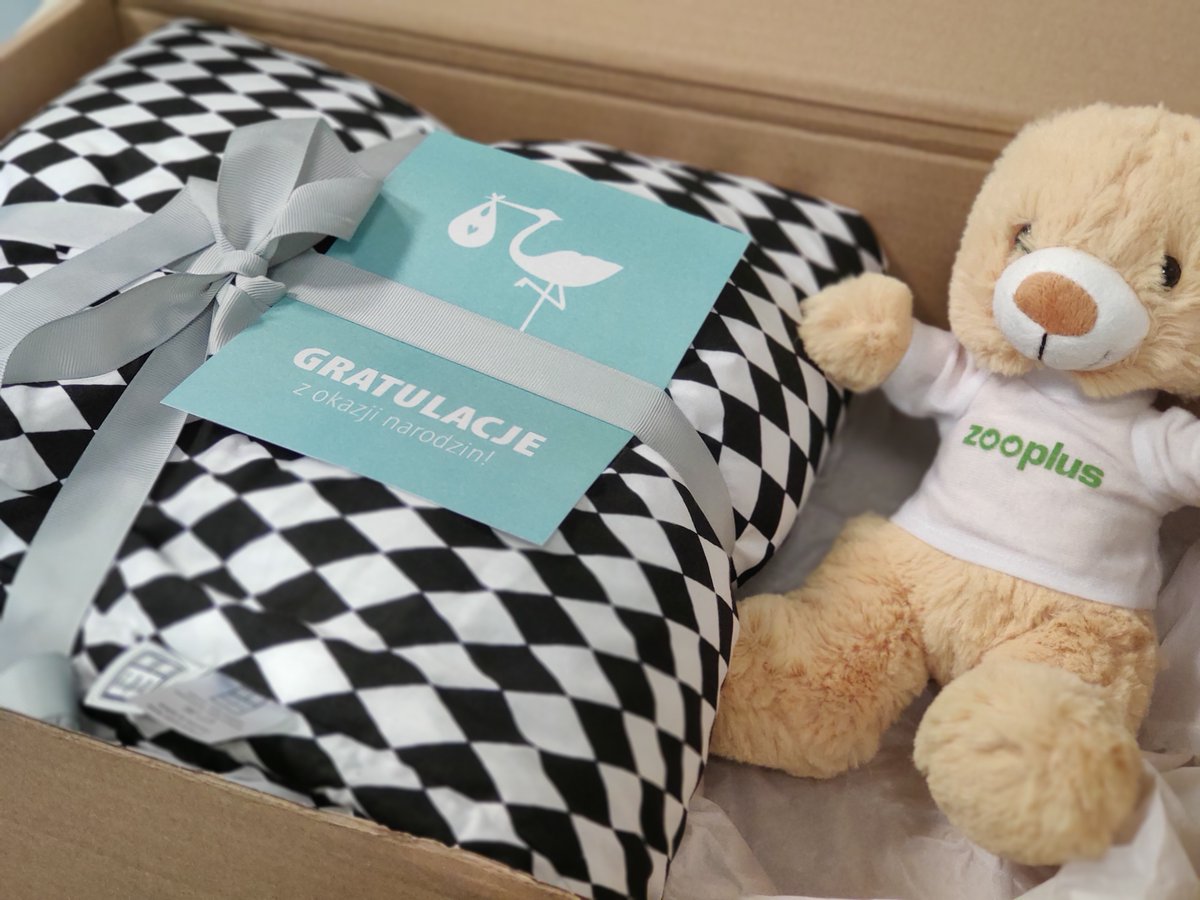 Kraków team is growing… Not only because of the new joiners. Recently we have welcomed four babies in our team! We wish them and their parents the greatest joy and happiness.
And still there are more to come… 😉

#techzooplus #babyonboard