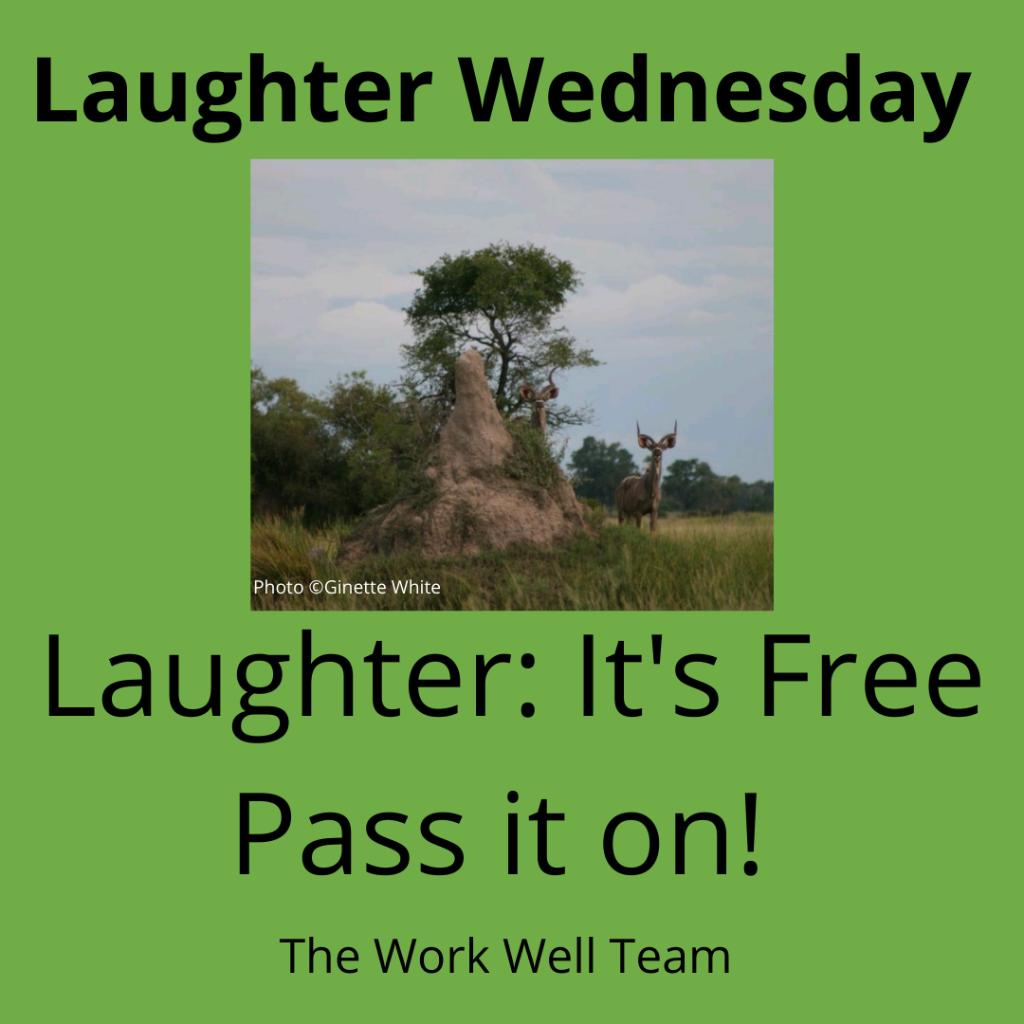 workwellteam's tweet photo. Laughter Wednesday
#connection #mindfulness #gratitude #laughter #selfcompasion #kindness #mentalhealth https://t.co/XrdnP9mhKT