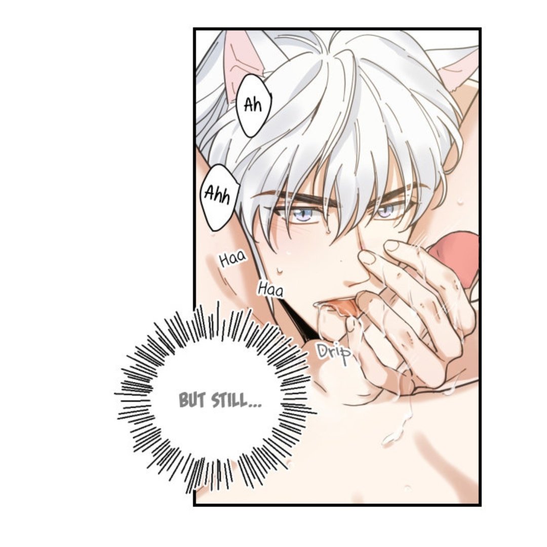 holydarksite's tweet photo. My One and Only Cat 
By ; So-nyeon

#manhwa #manhwayaoi #yaoi #mangayaoi #yaoihands #yaoihardcore #yaoilove #bl #boyslove https://t.co/bmQx1yG5kT