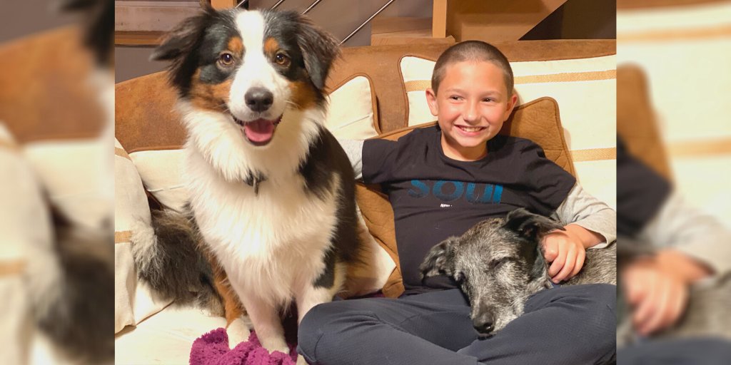 LoveDogs_fr's tweet photo. Saviez-vous que les câlins...
✔ réduisent la pression artérielle
✔ relâchent les muscles
✔ fortifient le système immunitaire
✔ améliorent la confiance en soi, surtout chez l'enfant
✔ diminuent le stress et l'anxiété
✔ libèrent la dopamine, l'hormone du plaisir https://t.co/j20fvqDztr