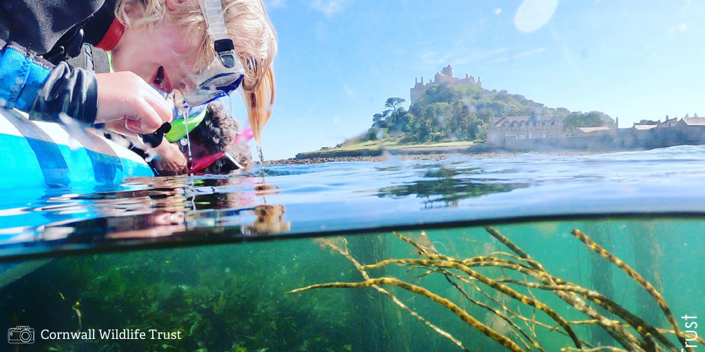 LivingSeasNW's tweet photo. We are so excited for #NationalMarineWeek to start on tomorrow! If you love our sea and want to get stuck in (and be in the know)...find out more here:
https://t.co/UKc7V8kYMu
#LivingSeas #NorthWest #WhatsOn #Coast #Sea #nmweek20
@Lancswildlife @WildlifeTrusts @FyldeSandDunes https://t.co/g8iSfiegGx