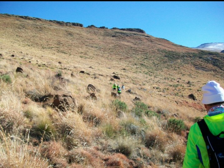 aliwasp's tweet photo. @RhodesTrailRun maybe your flag team can help with this one. Wheres Ally? #wheresAlly https://t.co/q2K5yfPxE5