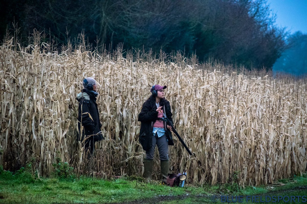 bluefieldsports's tweet photo. It’s not all tweed plus fours and flat caps.
-
#shooting #pewpew #shotgun #shoot #shooters #tweed #wellies #clothing #farm #covercrop #pheasants #partridge #cartridges #gunbag https://t.co/xmBGJI97RI