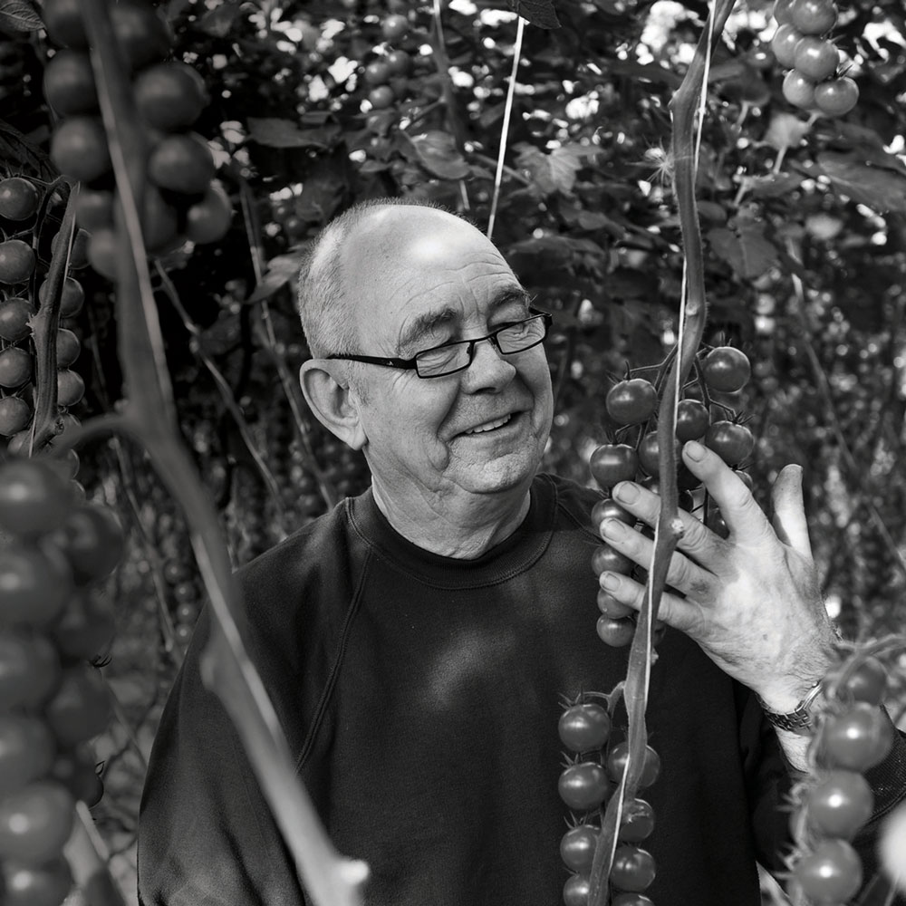 BoothsCountry's tweet image. 🍅 For @countrysidefund #NCW2020 @Croftpak has kindly produced a peek behind the scenes for us, to show you how their tomatoes are grown as we can't take you there in person! To meet Brian Ascroft &amp;amp; learn more, view the video here &amp;gt;
 youtu.be/kuutiGN3MJc