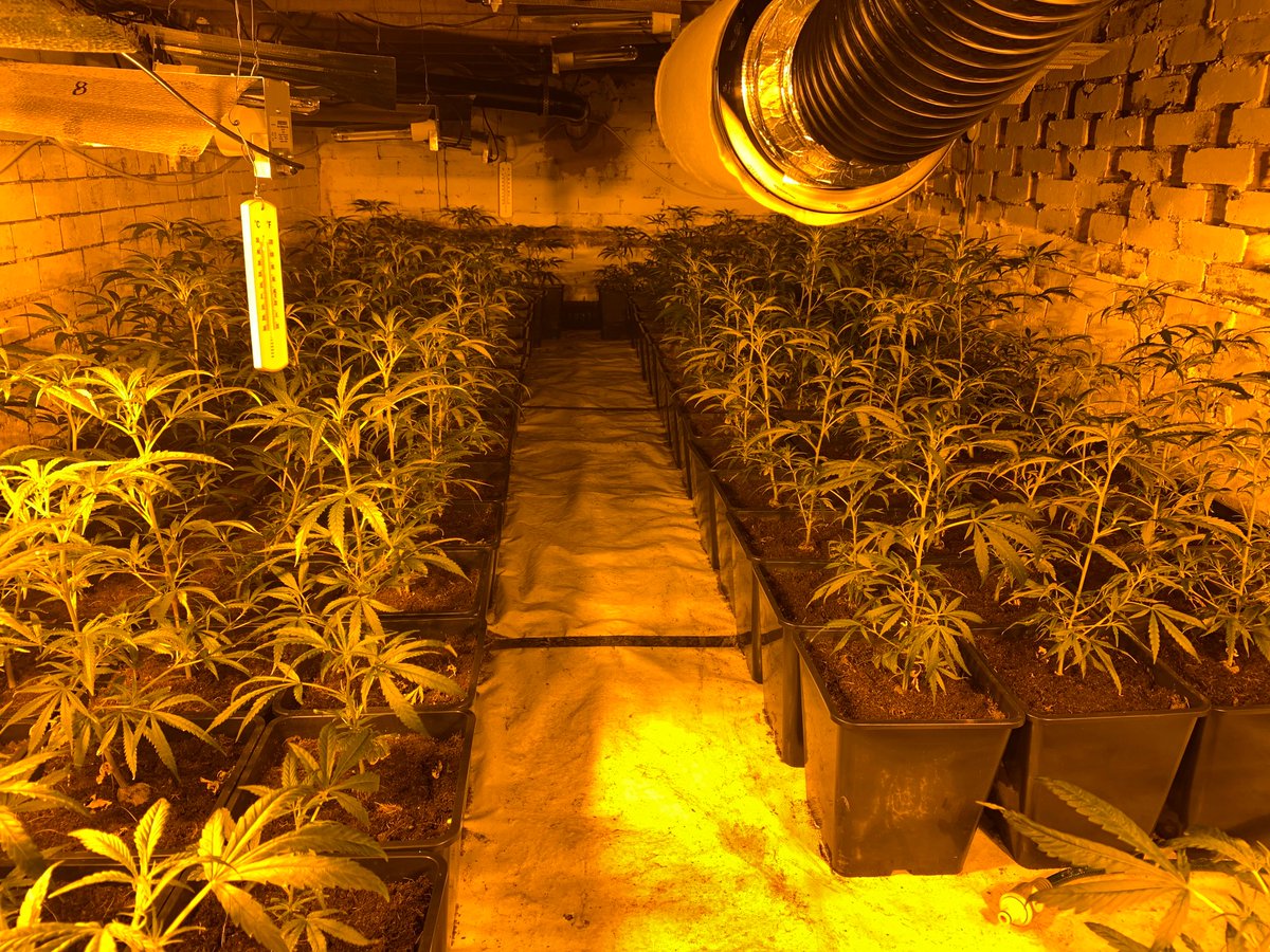 syptweet's tweet photo. ✔️Three firearms seized
✔️71 warrants
✔️97 arrests
✔️£3 million worth of drugs recovered
Last week we carried out coordinated raids across South Yorkshire to disrupt the activity of organised crime groups
#OpFortify 💥
https://t.co/mWKQmBWp2L https://t.co/2OyTrblheY