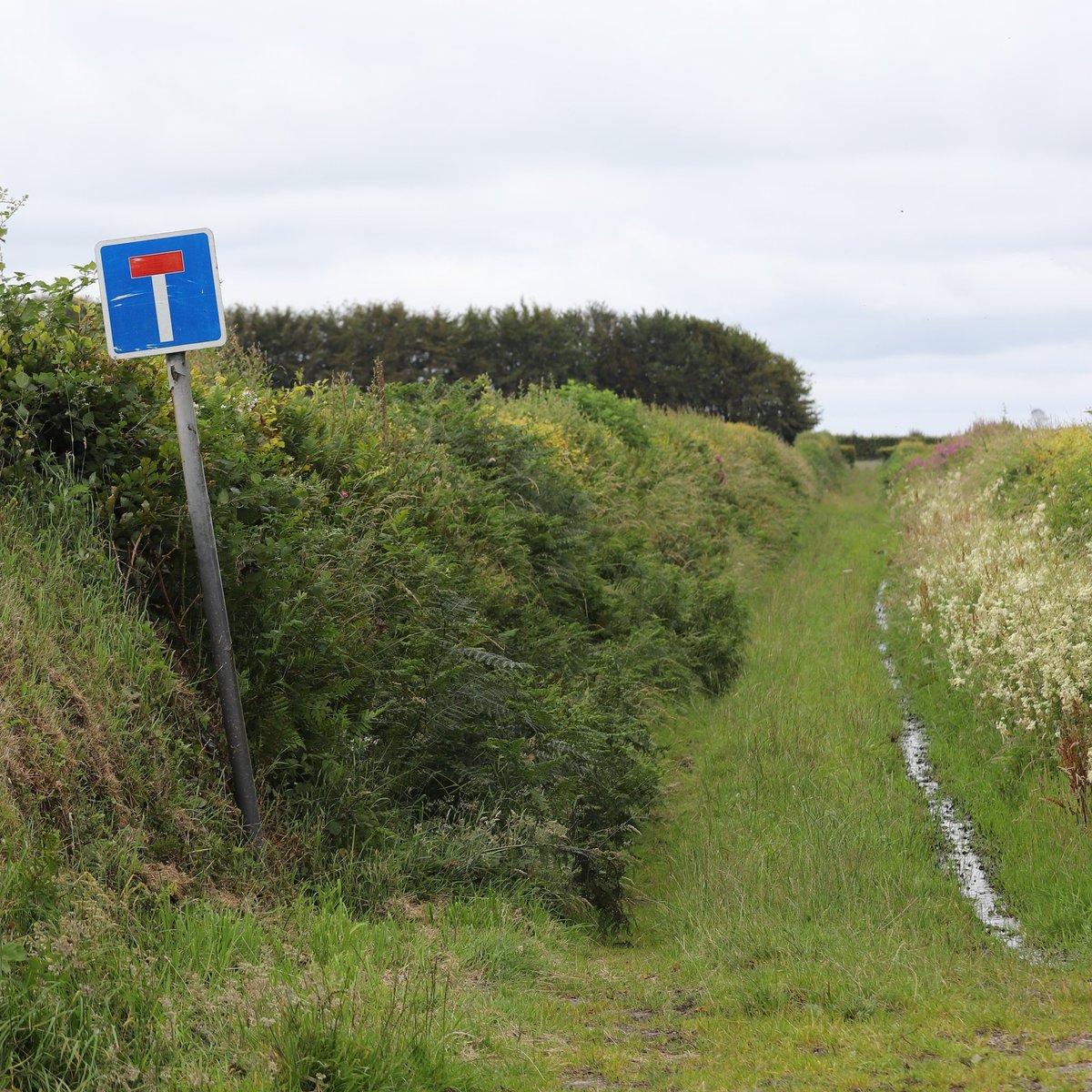 Some roads require a little more determination! #WednesdayWisdom #roads #highways #roadsigns #greenlanes #noovertaking