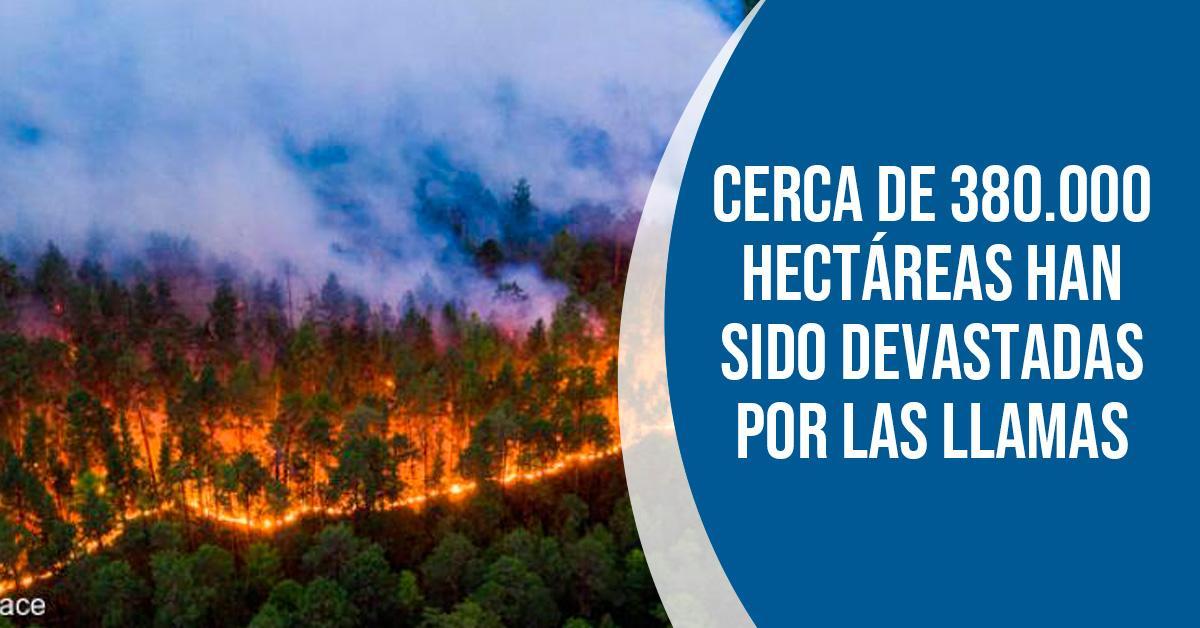 ELTIEMPO's tweet photo. Las fuertes y alarmantes imágenes de los incendios en Siberia ➡️
https://t.co/1yLPp9qji2 https://t.co/hY0x2NvMTx