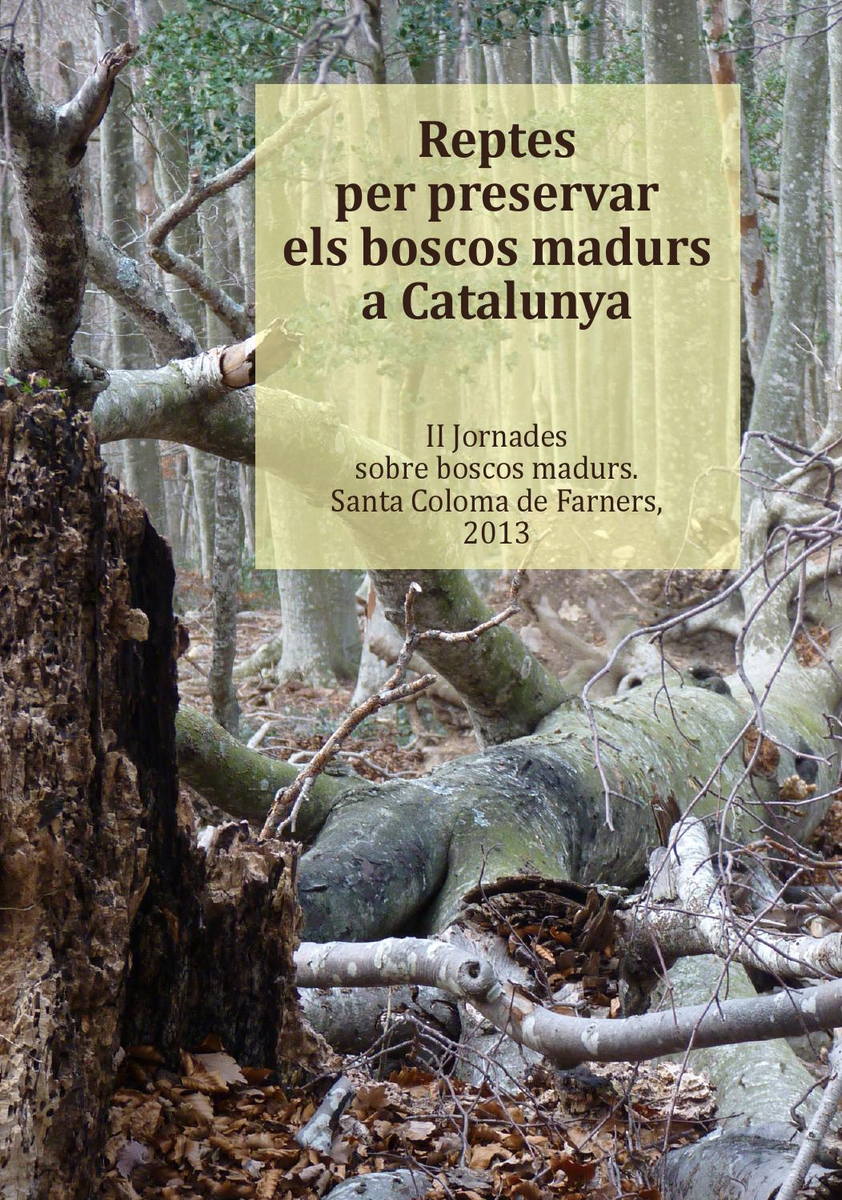 jm_mallarach's tweet photo. Encara tenim boscos madurs i semimadurs a Catalunya!  Son pocs, tenen escassa superfície i es troben en llocs de difícil accés. Urgeix declarar-los Reserva Integral si volem evitar que vagin essent tallats (com ha passsat) àdhuc dins d'ENP i parcs naturals. Obro fil 👇 https://t.co/Ivjr3H9rGj