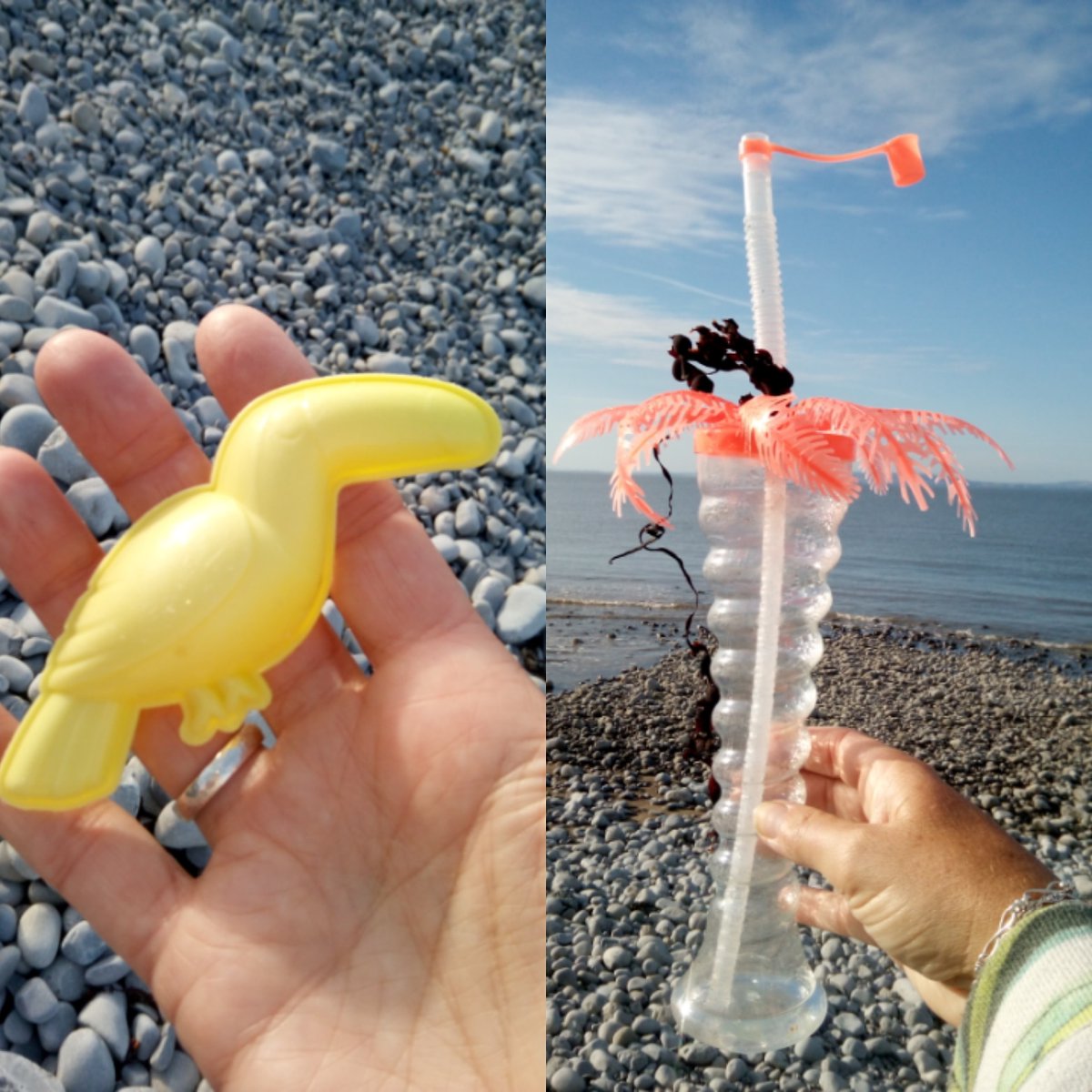 Tropical finds today! 

#2minutebeachclean #PlasticFreeJuly #plasticfreeocean #nomoresingleuse