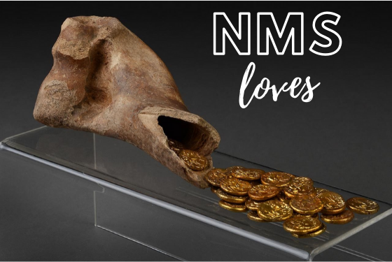 For this week’s  #NMSLoves, we’re handing over to Kim Leonard, one of our brilliant volunteers at  @lynnmuseum, to tell us about an intriguing archaeological find.My favourite item is the Iron Age hoard of gold coins, known as ‘staters’, found buried in a cow bone in August 2003.