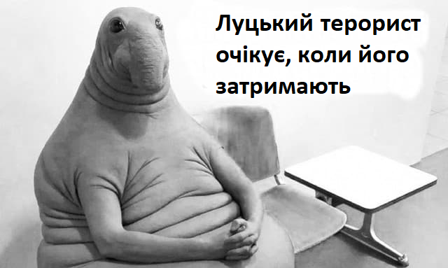 "Луцкий террорист" Кривош в последнее время закон не нарушал, - Нацполиция - Цензор.НЕТ 2205