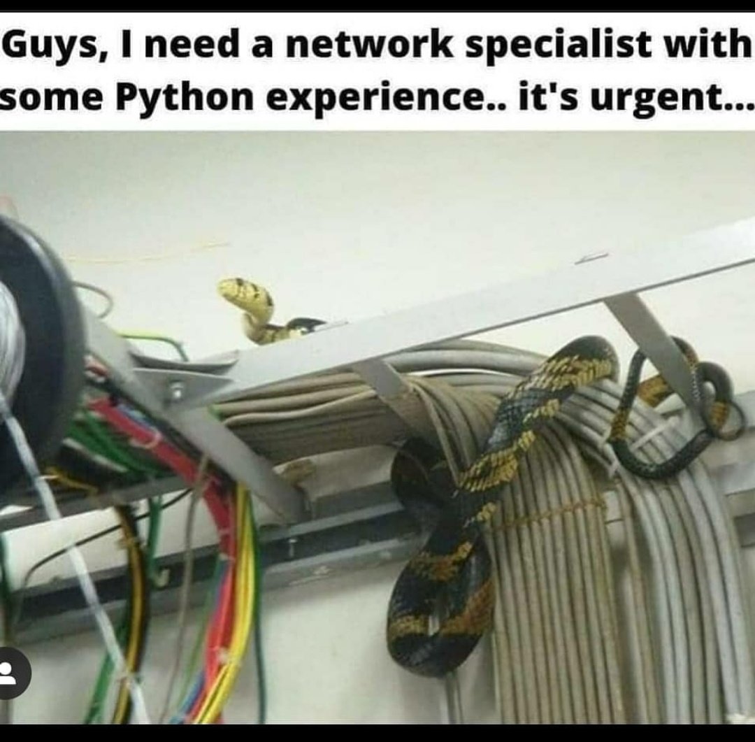 thecoollearner's tweet photo. #100DaysOfCode #CodeNewbie 

Python to the rescue 🐍 https://t.co/k0Kps39t4g