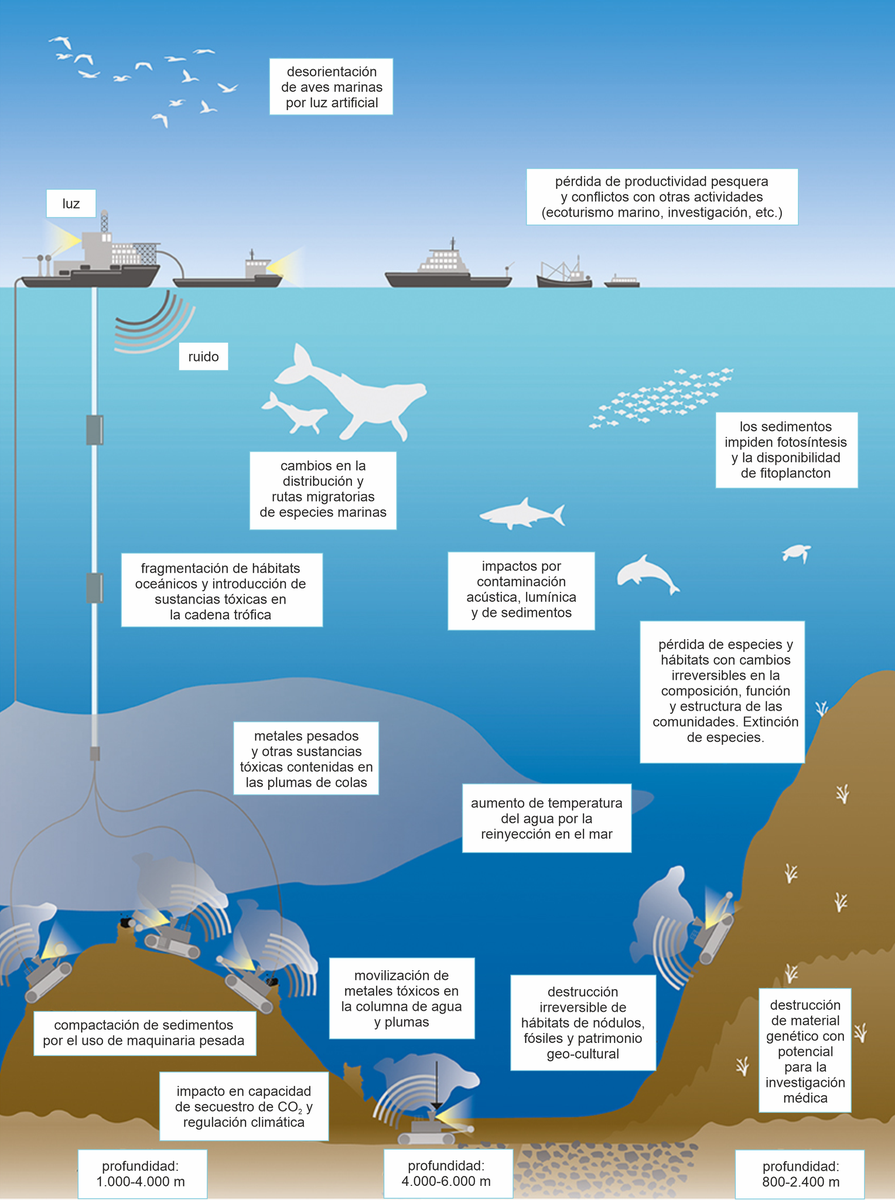 TheoOberhuber's tweet photo. Esta infografía resume algunos de los principales impactos de la minería submarina. No podemos permitirnos después de haber destruido miles de espacios terrestres por la minería hacer lo mismo con los fondos marinos
#StopMineríaSubmarina
#SinBiodiversidadNoHayVida https://t.co/UWKSFjN7G3