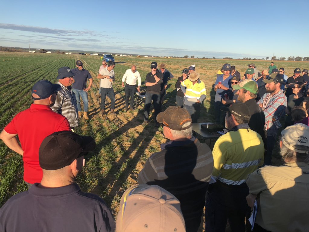 LiebeGroup's tweet image. Huge crowd at our PSFW today with 108 farmers and industry reps viewing the trails @ our Main Trial Site. Thanks to all Research Partners for presenting today and to @FMCANZ (pictured) for sponsoring the day 🌱