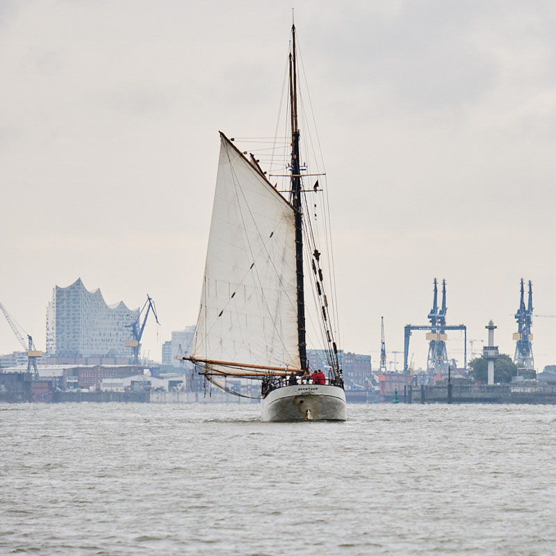 floatmagazin's tweet photo. Der Segelfrachter Avontuur von Timbercoast kommt jetzt in Hamburg an. Die Bedingungen unter Corona beim langen Rückweg waren hart. #Avontuur #Brigantes #CorneliusBockermann #Frachtsegler #Nachhaltigkeit #Shipmates #Timbercoast https://t.co/bWSCnWhljg https://t.co/SzBReaE1Su