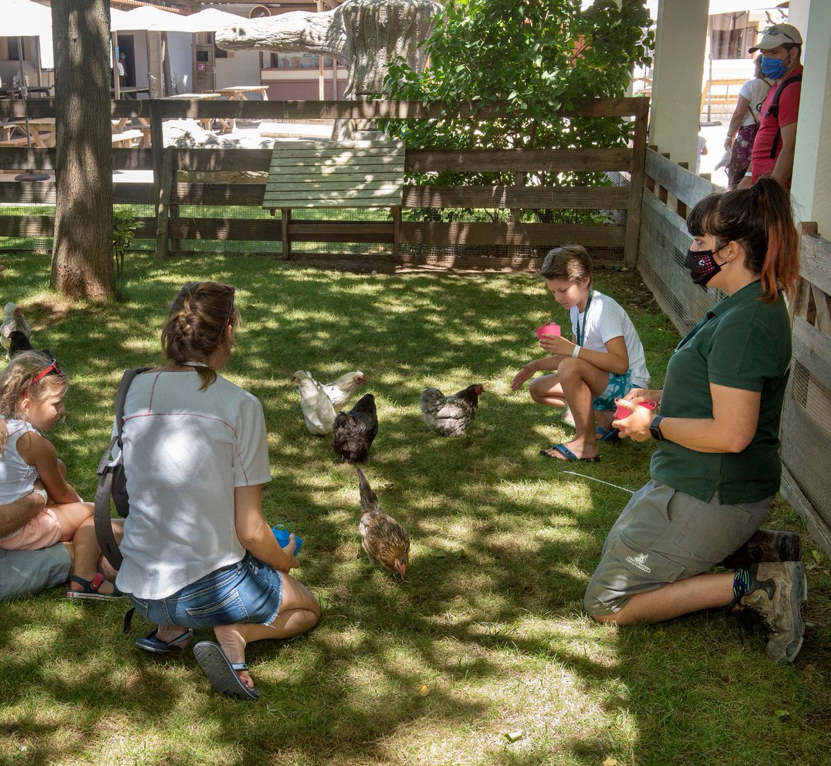 sendaviva's tweet photo. 🐔🦆🐖🐑¿Te apuntas a cuidar a los animales de la Granja de #Sendaviva? ¡Son ‘Animales de cuidado’! La nueva #actividad de Sendaviva donde los visitantes conoceréis sus cuidados especiales, y aprenderéis a alimentarlos, cuidarlos y mimarlos. ➡️ https://t.co/0GFK38m91R #ConPeques https://t.co/JXRCIVBboj