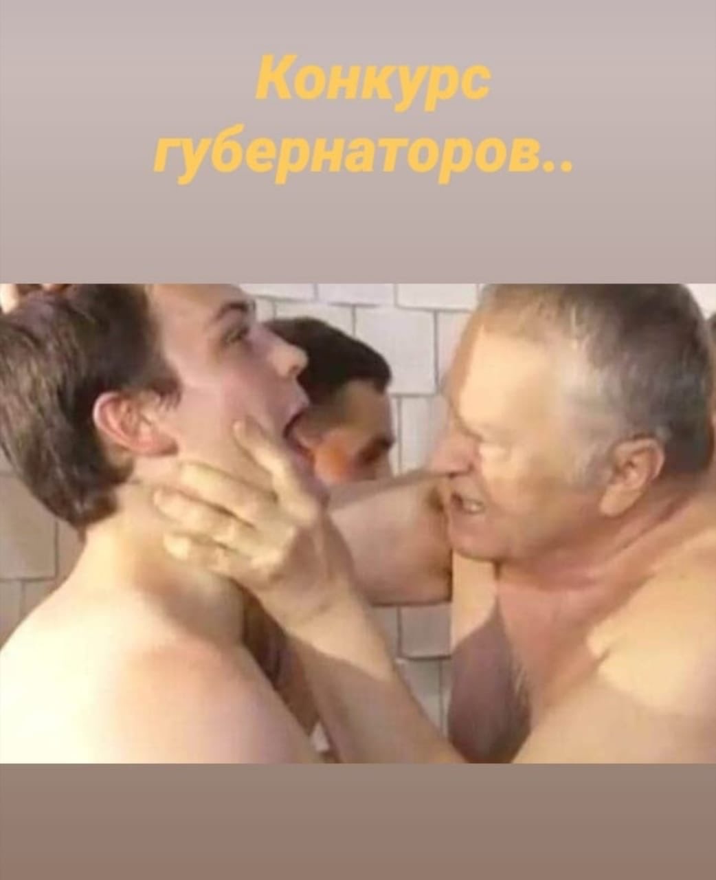 Жириновский голландский штурвал