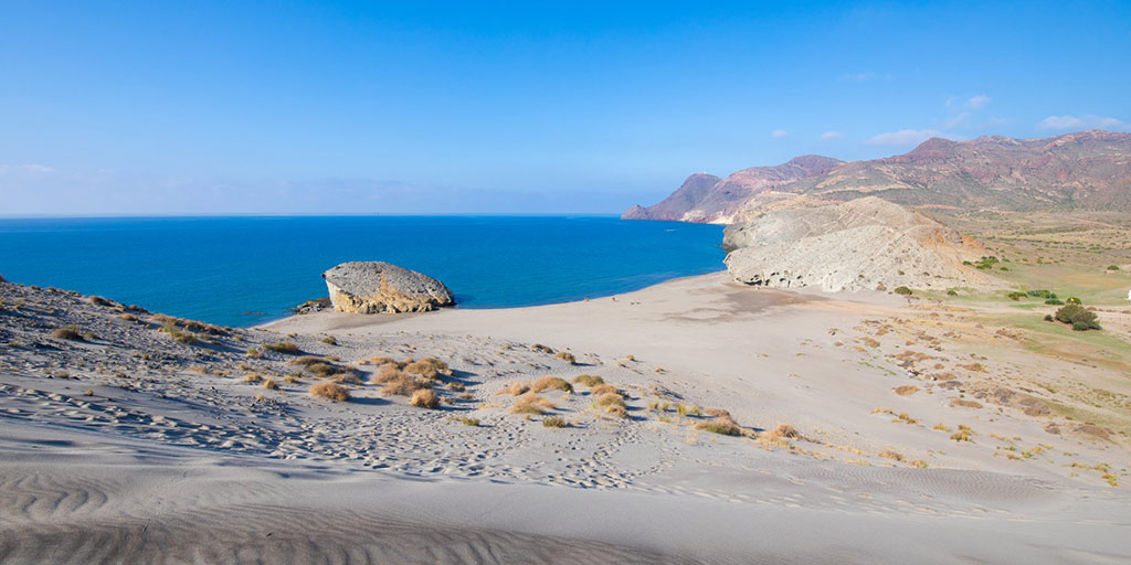 ServiciosAND's tweet photo. 🤔 ¿Dudas en qué playa de #Andalucía pasarás el día?

🟢 Te lo ponemos fácil

📳 Accede al catálogo general de playas y selecciona según tus gustos

🗺️ Clasificación por tipos, características físicas, seguridad...

➡️ https://t.co/QAHC4bhvDO

#turismo https://t.co/iFqxgQwOvo