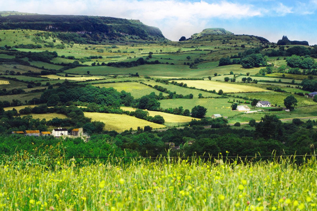 IrishBeef_UK's tweet photo. Green lush fields, fresh clean air and plentiful rain makes Ireland the perfect place for producing quality grass-fed Irish steaks. Combined with traditional family farming practices, this all helps to deliver excellent tasting grass-fed Irish steaks. https://t.co/mIxGQ0jMx1