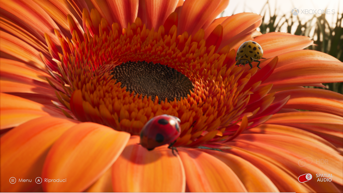 BeaBliss1's tweet photo. #XASummerParty  😯🐞🐞 https://t.co/h1YYBezJeU