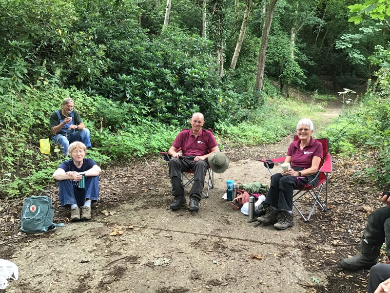 Did you know we have a fantastic group of committed volunteers here at #TheDeepdeneTrail?

Last Wednesday there was an amazing 12 of them who came and tidied up the entrance, cut back overhanging branches and weeds on the paths and tidied up the parterre rose beds.
