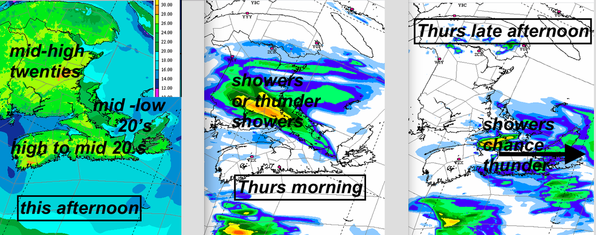 Jim Abraham tweet media