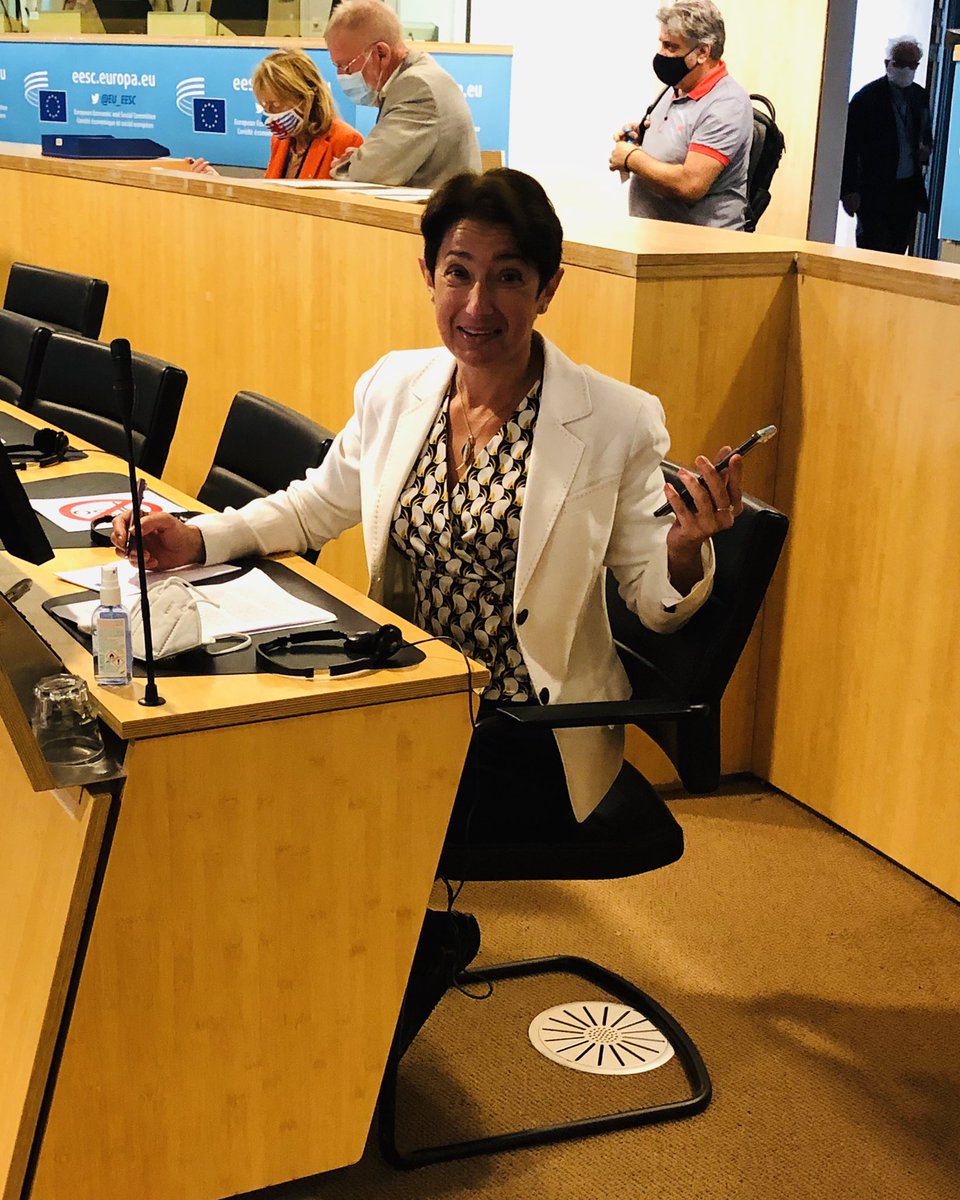 smetrabxl's tweet photo. Despite heat of the summer @EU_EESC still going strong. @EESC_INT having vivid discussion on #SMEstrategy drafted by @MilenaAngel23 #SMEs #ThinkSmallFirst #ActSmallFirst #yrittäjät #yrittäjyys #PkStrategia https://t.co/48aW4wBwcX