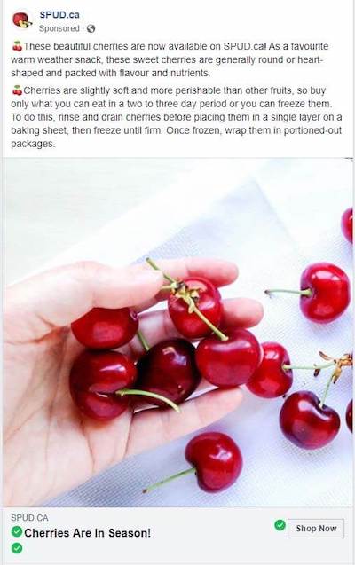 How to Nail #SocialMedia for #eCommerce - cutt.ly/FaME4cs #smm #DigitalMarketing