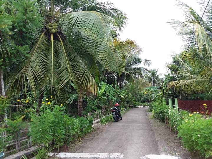 HANYA 2 MENIT KE ALUN-ALUN SIDAREJA 🥳🥳
Dijual, Tanah Bonus Rumah di Cikalong. Luas Tanah 36 Ubin
250 meter dari Jl. Jend. Sudirman Sidareja.
Akses jalan Roda 4. Harga Rp 7 Jt per Ubin
Monggo hubungi saja wa.me/6281999988099
Telp. (0280) 5264370