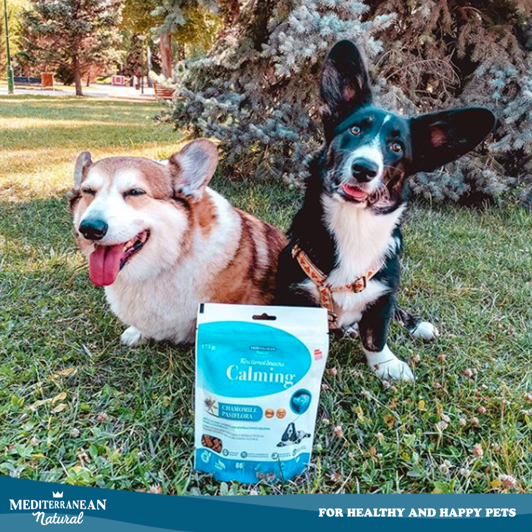 _mnatural's tweet photo. Anna es física, formuladora cosmética y divulgadora científica 🧬 Ha probado nuestros #FunctionalSnacks #antiestrés con @el_corgi  y nos cuenta su experiencia ▻ https://t.co/83w4H6IRMI #MediterraneanNatural https://t.co/lZQtLNJrJS