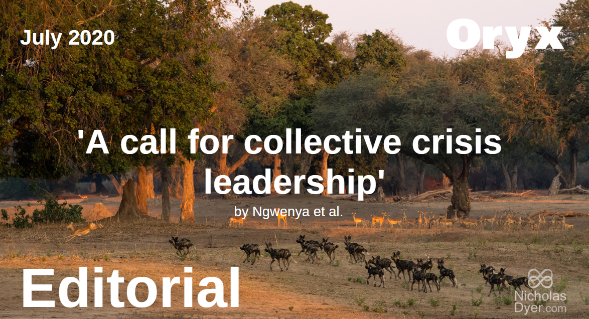Oryx (@oryxthejournal) on Twitter photo Our July 2020 Editorial is a combined effort by <a href="/MPhilCL/">Cambridge Masters in Conservation Leadership</a>'s Alumni Network and calls for #CollectiveCrisisLeadership.
'A collective approach is critical for tackling the underlying causes of environmental crises and addressing intersectional issues.'
doi.org/10.1017/S00306… Our July 2020 Editorial is a combined effort by <a href="/MPhilCL/">Cambridge Masters in Conservation Leadership</a>'s Alumni Network and calls for #CollectiveCrisisLeadership.
'A collective approach is critical for tackling the underlying causes of environmental crises and addressing intersectional issues.'
doi.org/10.1017/S00306…