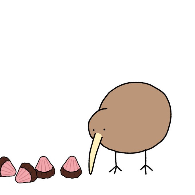 アポロチョコを分解するキーウィ 