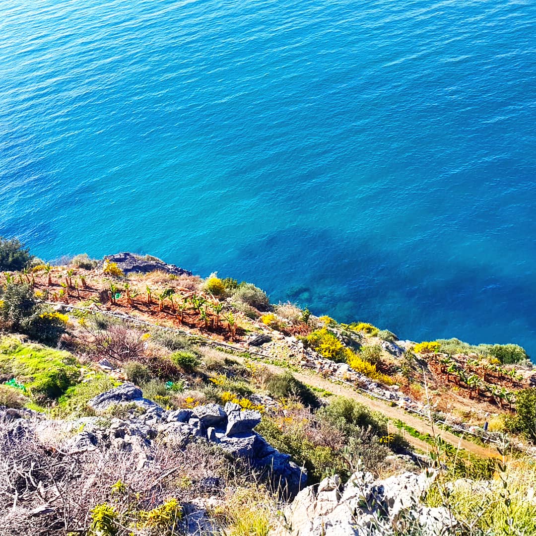 dr_tropic's tweet photo. @Discovery_TR antalya https://t.co/oJTU9QLphp