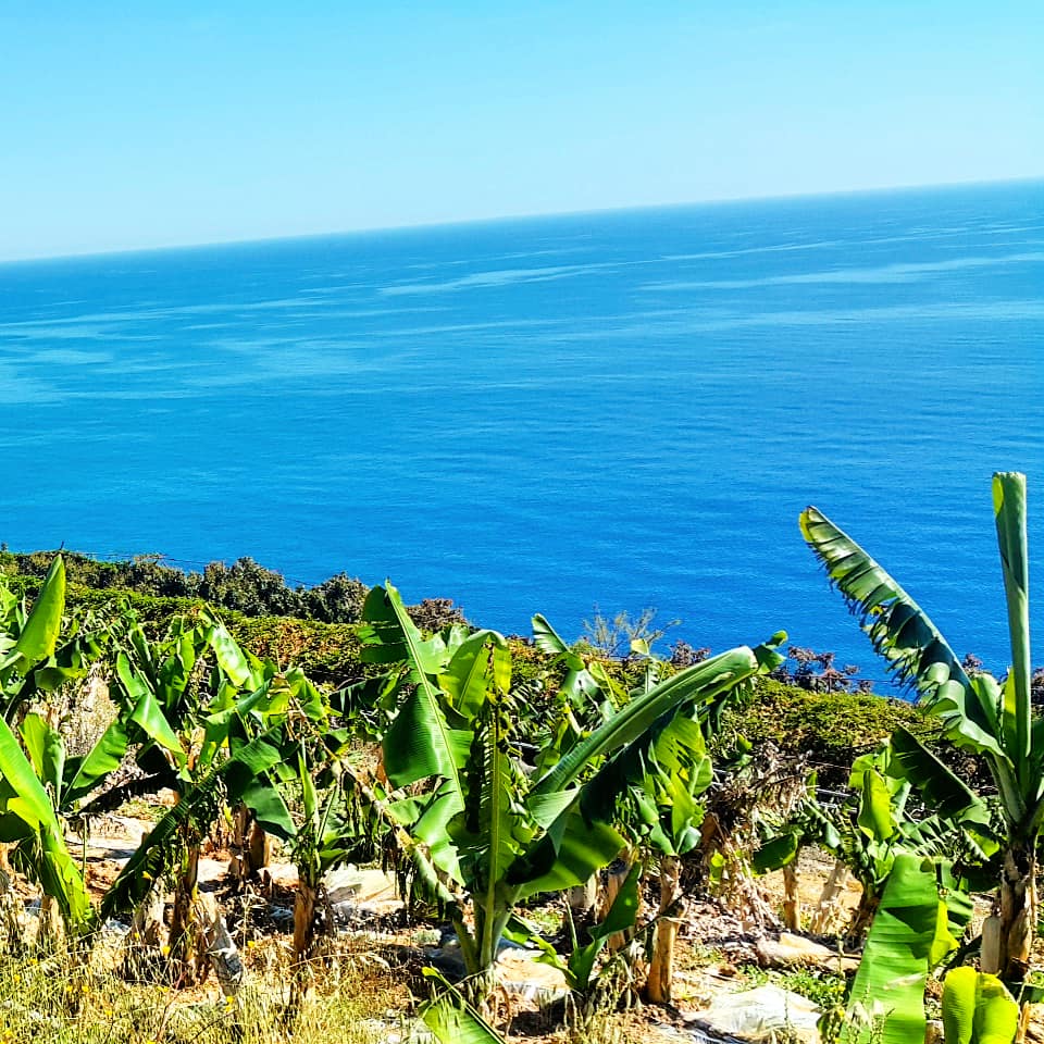 dr_tropic's tweet photo. @Discovery_TR antalya https://t.co/oJTU9QLphp