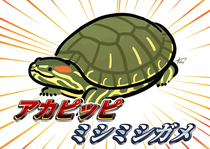 アカピッピミシミシガメ 