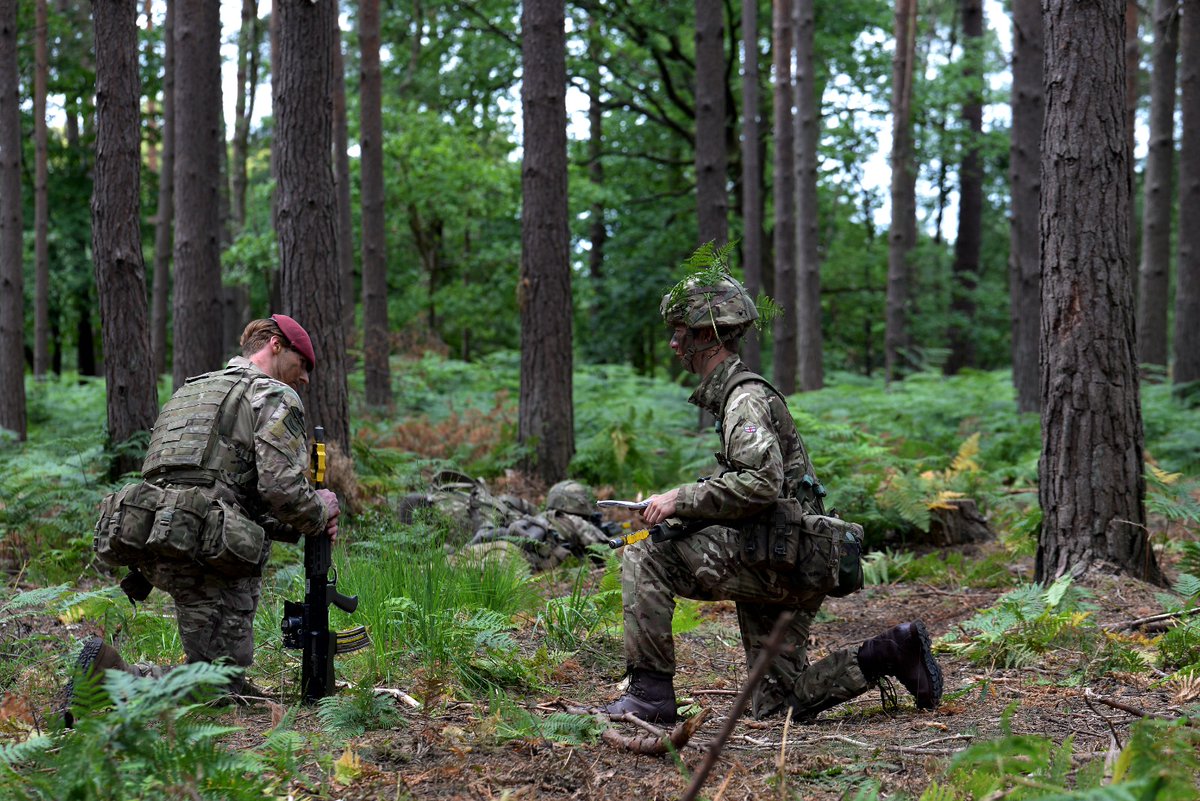 59 (ASTEN) Battery tweet media