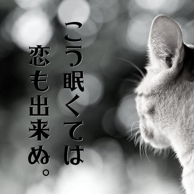 名言のtwitterイラスト検索結果 名言のtwitterイラスト検索結果
