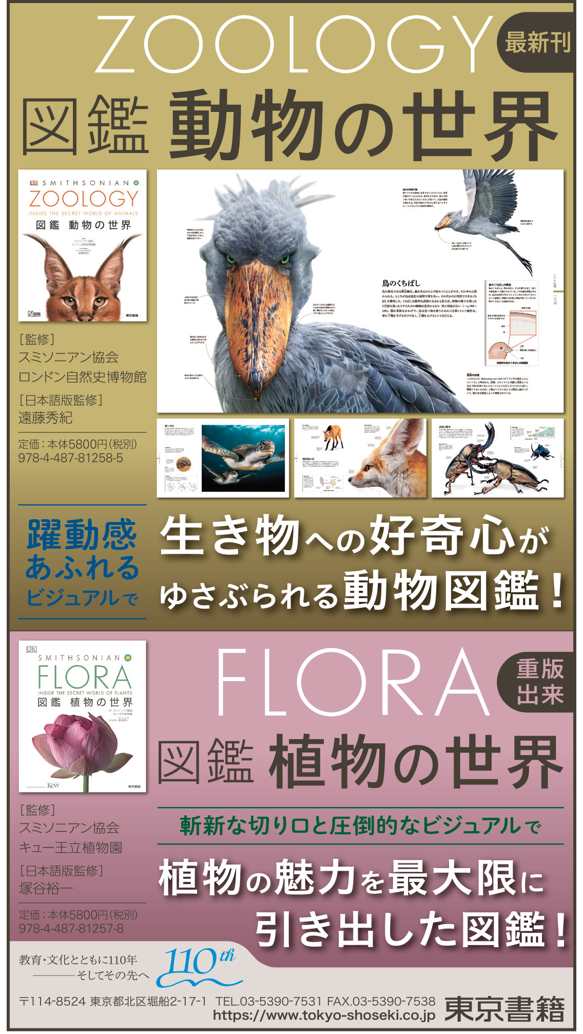 驚きの価格 高 ブランド 東京書籍発送サイズ Zoology 動物の世界 図鑑 ゲーム Icaccreditation Org