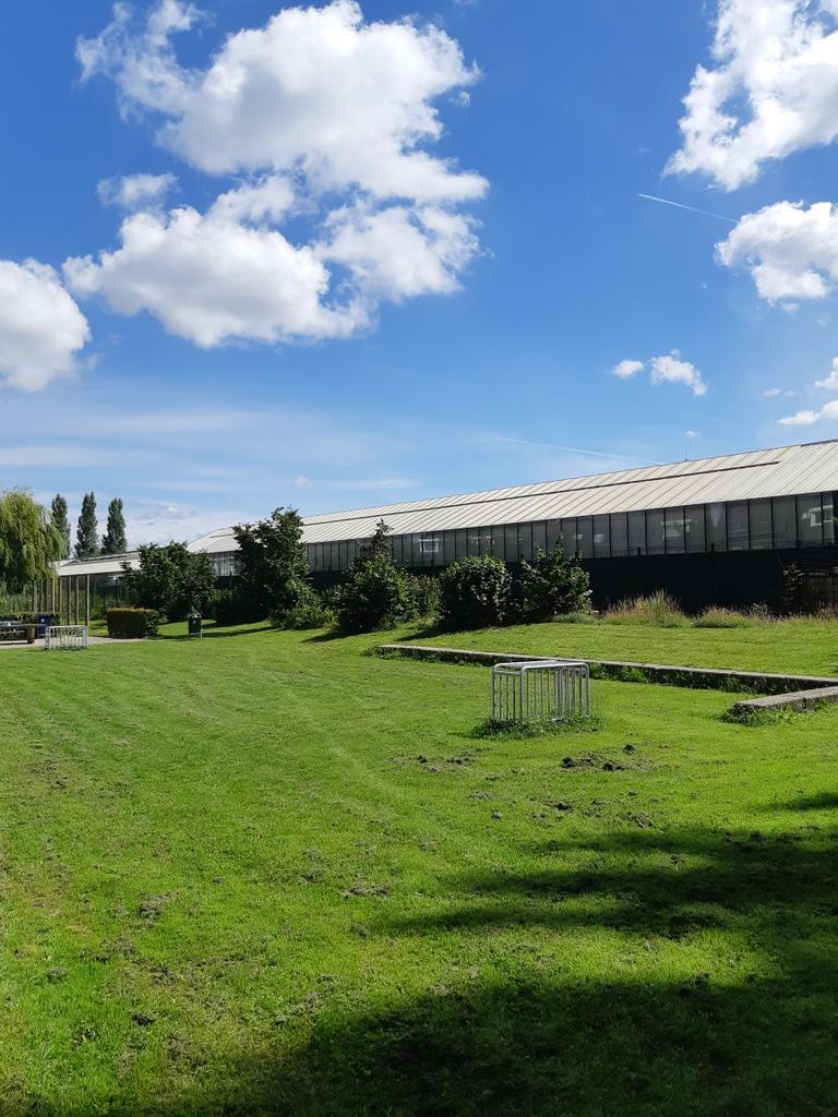 Alfred van Putten tweet media