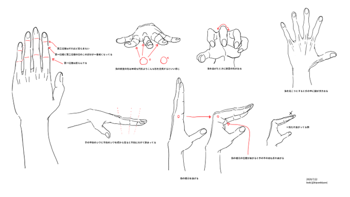 手を描く練習したけどすぐ忘れそうなのでポイントまとめました 