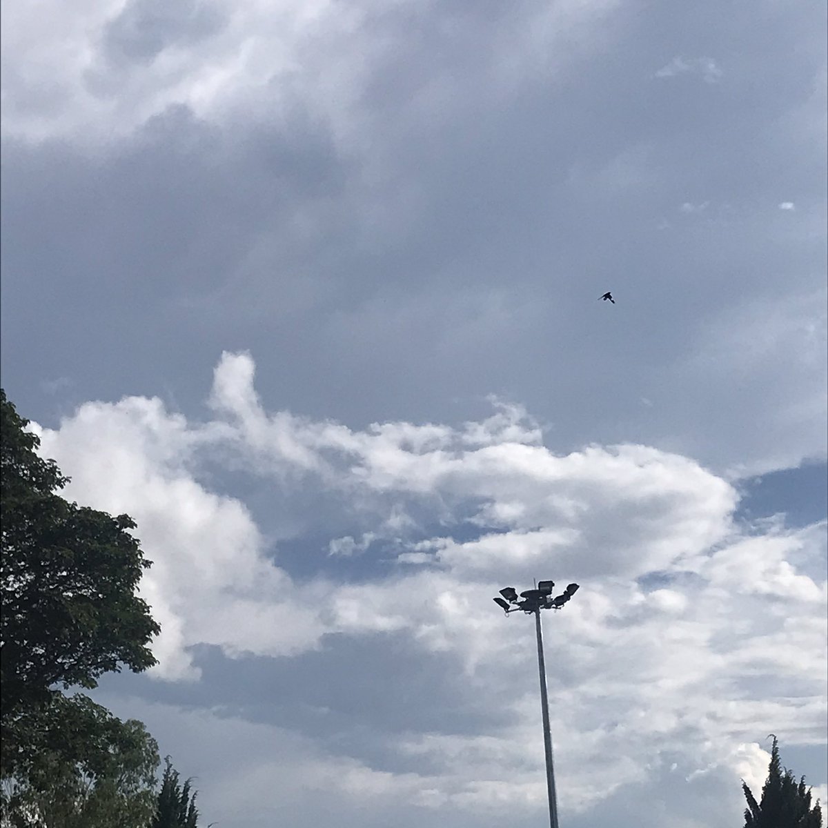 Bitter_0's tweet photo. 🌥 https://t.co/EA0ELXPfcl
