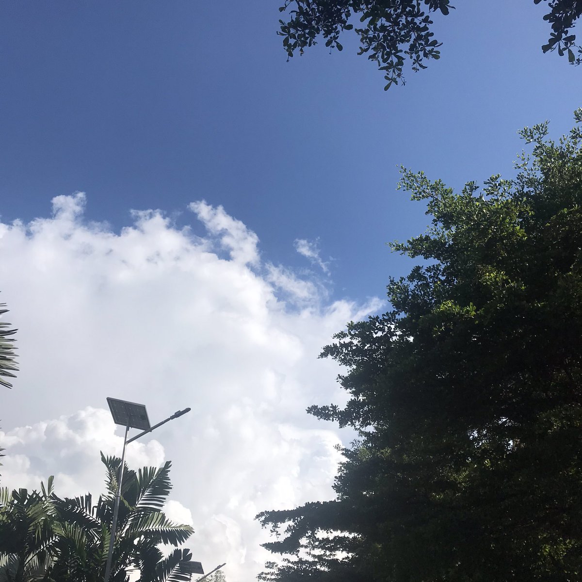 Bitter_0's tweet photo. 🌥 https://t.co/EA0ELXPfcl