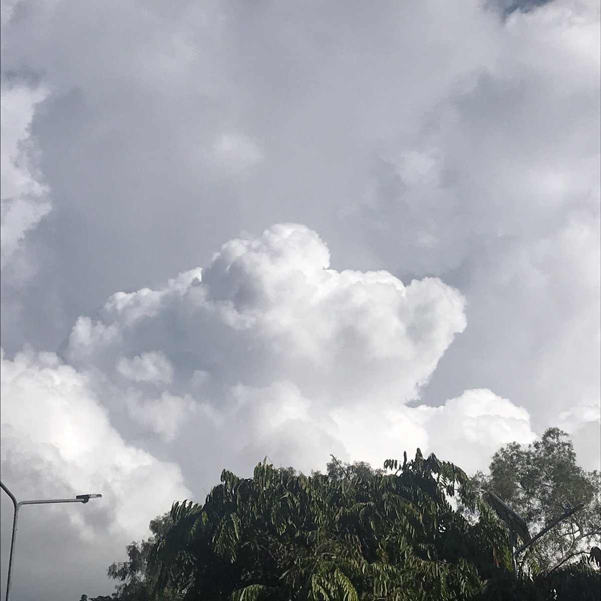 Bitter_0's tweet photo. 🌥 https://t.co/EA0ELXPfcl